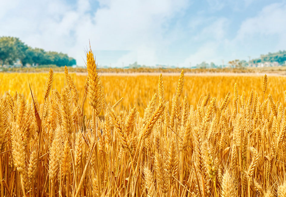 立即博·(中国)有限公司官网