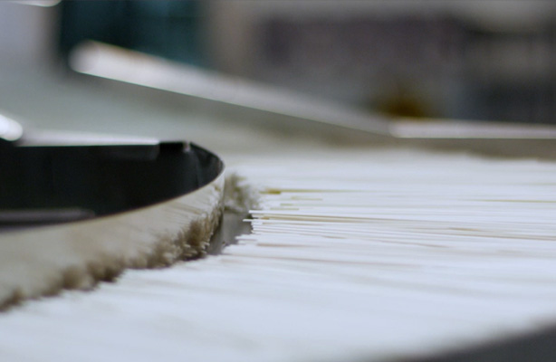 面条为什么会生虫？