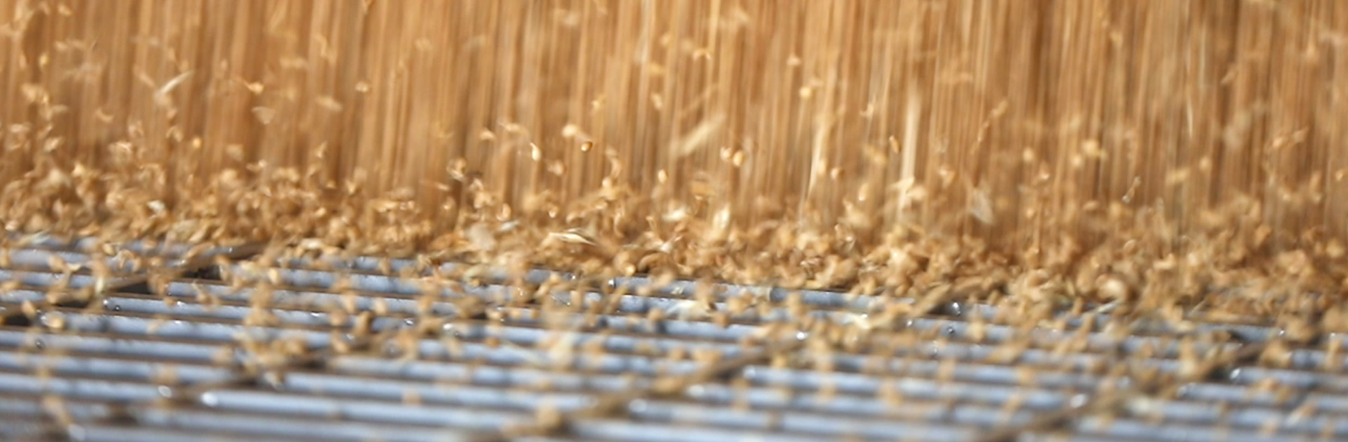 立即博·(中国)有限公司官网